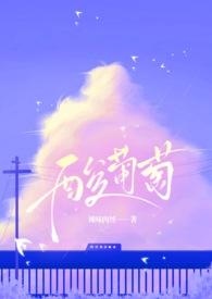 酸葡萄by沈不期