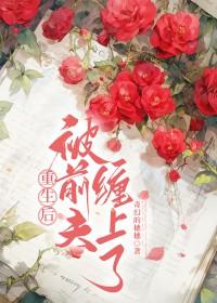 重生后被前夫关进小黑屋