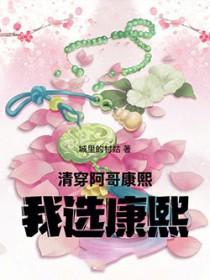 清穿文康熙把四阿哥给女主养