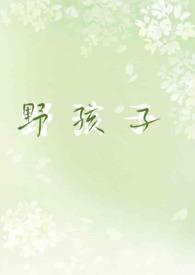 野孩子长篇