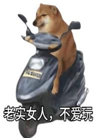老实的人的女人不装了