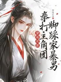 穿成反派拳打主角团脚踩家暴男txt