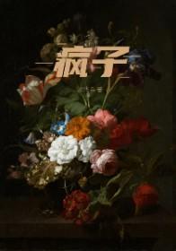 疯子游戏助手