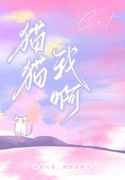 猫猫我啊by阿阮有酒免费阅读