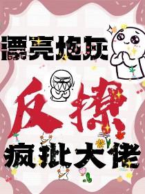漂亮炮灰扫文