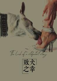 电影败犬