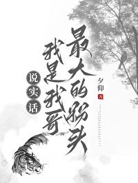 秦说实话我是我哥最大的粉头