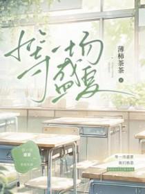 等一场盛夏百度