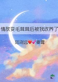 情敌变男友的