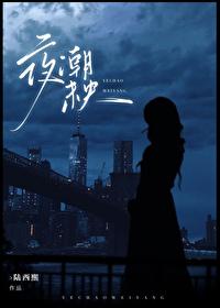 夜潮是什么意思