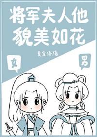 将军夫人过美