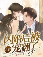 闪婚大叔有点
