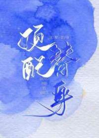 低配版替身晋江