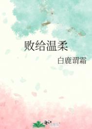 败给温柔TXT
