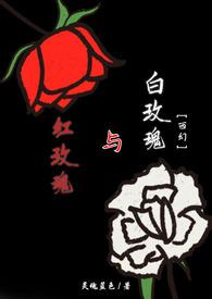 红玫瑰与白玫瑰读后感