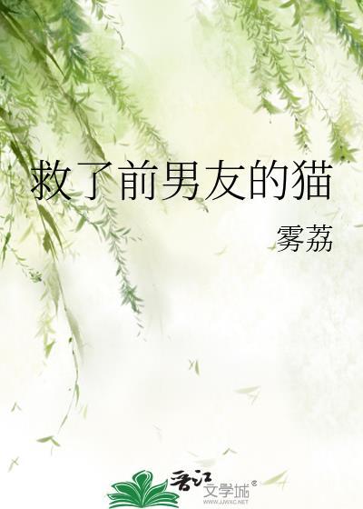 救了只猫咪如何处理