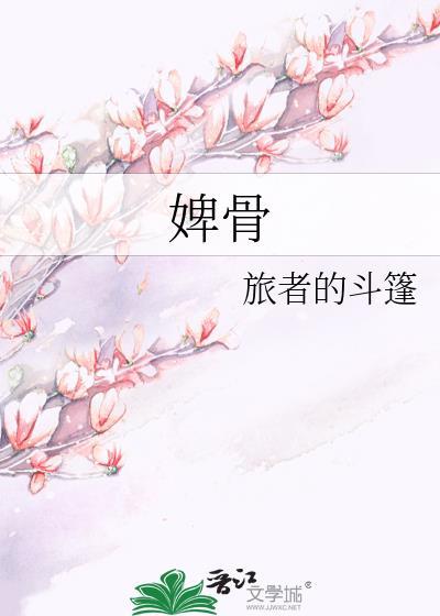 婢骨旅者的斗篷txt