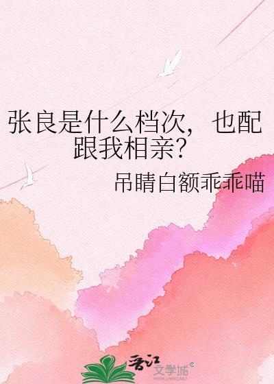 张良干什么的