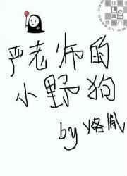 贼帅的小严老师