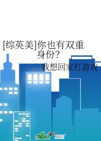 综英美你也有双重身份txt