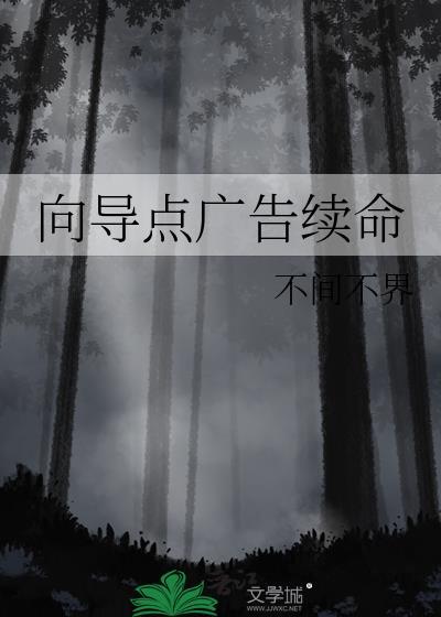 向导点广告续命 不间不界