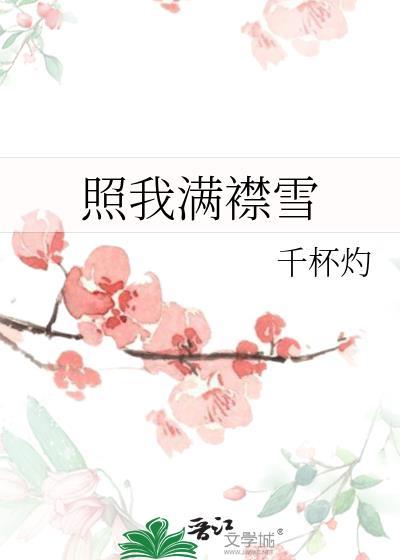 照我襟怀雪