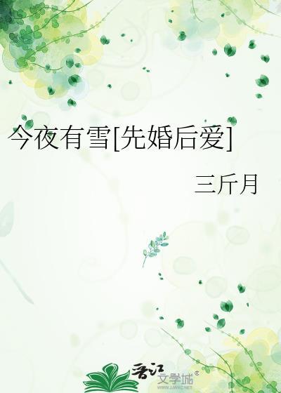 今夜有雪先婚后爱