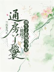 通房丫头绑定系统之后