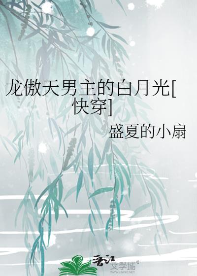 龙傲天男主文