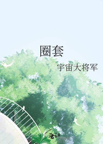 圈套电视剧免费观看