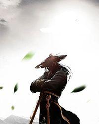 火影从罗杰船上归来的漩涡鸣人最新